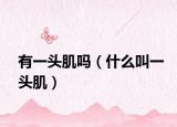 有一頭肌嗎（什么叫一頭?。? /></span></a>
                        <h2><a href=