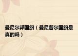 曼尼爾邦國旗（曼尼普爾國旗是真的嗎）