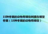 15種冬眠的動(dòng)物有哪些刺猬在哪里冬眠（15種冬眠的動(dòng)物有哪些）
