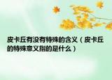 皮卡丘有沒有特殊的含義（皮卡丘的特殊意義指的是什么）