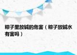 粽子里放堿的危害（粽子放堿水有害嗎）