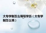 大專學制怎么填寫學歷（大專學制怎么填）