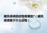 威風(fēng)凜凜的動(dòng)物有哪些?（威風(fēng)凜凜屬于什么動(dòng)物）