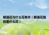 解語花與什么花有關(guān)（解語花指的是什么花）