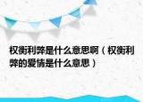 權(quán)衡利弊是什么意思啊（權(quán)衡利弊的愛情是什么意思）