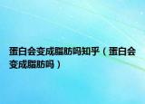 蛋白會(huì)變成脂肪嗎知乎（蛋白會(huì)變成脂肪嗎）