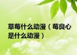 草莓什么動(dòng)漫（莓良心是什么動(dòng)漫）