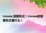 mouse,復(fù)數(shù)形式（mouse的復(fù)數(shù)形式是什么）