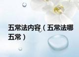 五常法內(nèi)容（五常法哪五常）