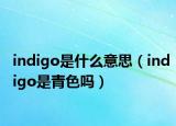 indigo是什么意思（indigo是青色嗎）