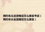 網(wǎng)約車從業(yè)資格證怎么報名考試（網(wǎng)約車從業(yè)資格證怎么報名）