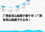 廣西省靈山縣屬于哪個(gè)市（廣西省靈山縣屬于什么市）