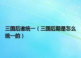三國(guó)后誰(shuí)統(tǒng)一（三國(guó)后期是怎么統(tǒng)一的）