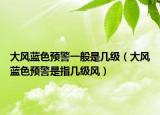 大風(fēng)藍(lán)色預(yù)警一般是幾級（大風(fēng)藍(lán)色預(yù)警是指幾級風(fēng)）