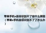 蘋果手機(jī)x面容識別不了是什么原因（蘋果x手機(jī)面容識別不了了怎么辦）