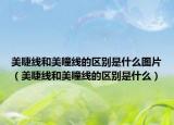 美睫線和美瞳線的區(qū)別是什么圖片（美睫線和美瞳線的區(qū)別是什么）