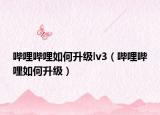 嗶哩嗶哩如何升級lv3（嗶哩嗶哩如何升級）