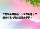 三衢道中寫(xiě)的是什么季節(jié)的詩(shī)（三衢道中古詩(shī)寫(xiě)的是什么季節(jié)）