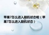 蘋果7怎么進入刷機狀態(tài)呢（蘋果7怎么進入刷機狀態(tài)）