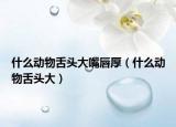 什么動物舌頭大嘴唇厚（什么動物舌頭大）