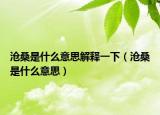 滄桑是什么意思解釋一下（滄桑是什么意思）