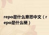 repo是什么意思中文（repo是什么梗）