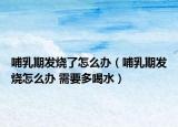 哺乳期發(fā)燒了怎么辦（哺乳期發(fā)燒怎么辦 需要多喝水）