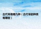 古代琴有哪幾種（古代琴的種類有哪些）