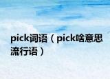 pick詞語（pick啥意思流行語）