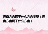 云南方言屬于什么方言類型（云南方言屬于什么方言）