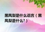 黑鳳梨是什么語(yǔ)言（黑鳳梨是什么?）
