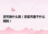 靈咒有什么用（靈官咒是干什么用的）