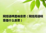網(wǎng)絡(luò)語咦是啥意思（網(wǎng)絡(luò)用語哇塞是什么意思）