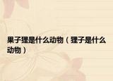 果子貍是什么動(dòng)物（貍子是什么動(dòng)物）