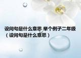 設(shè)問句是什么意思 舉個(gè)例子二年級（設(shè)問句是什么意思）