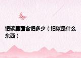 鈀碳里面含鈀多少（鈀碳是什么東西）