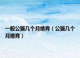 一般公貓幾個(gè)月絕育（公貓幾個(gè)月絕育）