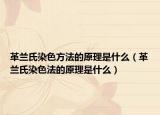 革蘭氏染色方法的原理是什么（革蘭氏染色法的原理是什么）