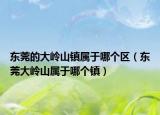 東莞的大嶺山鎮(zhèn)屬于哪個區(qū)（東莞大嶺山屬于哪個鎮(zhèn)）