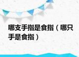 哪支手指是食指（哪只手是食指）