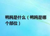 鴨肫是什么（鴨盹是哪個部位）