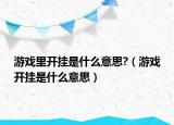 游戲里開(kāi)掛是什么意思?（游戲開(kāi)掛是什么意思）