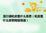 流行語蛇皮是什么意思（蛇皮是什么意思網絡用語）