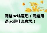 網(wǎng)絡(luò)pc啥意思（網(wǎng)絡(luò)用語pc是什么意思）