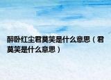 醉臥紅塵君莫笑是什么意思（君莫笑是什么意思）