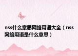 nss什么意思網(wǎng)絡(luò)用語(yǔ)大全（nss網(wǎng)絡(luò)用語(yǔ)是什么意思）