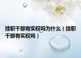 掛職干部有實(shí)權(quán)嗎為什么（掛職干部有實(shí)權(quán)嗎）