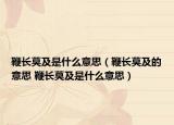 鞭長(zhǎng)莫及是什么意思（鞭長(zhǎng)莫及的意思 鞭長(zhǎng)莫及是什么意思）