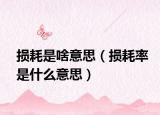 損耗是啥意思（損耗率是什么意思）