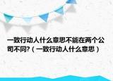 一致行動(dòng)人什么意思不能在兩個(gè)公司不同?（一致行動(dòng)人什么意思）